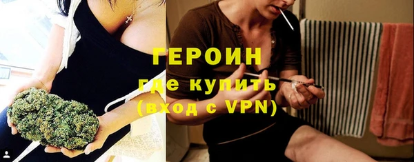 индика Новодвинск