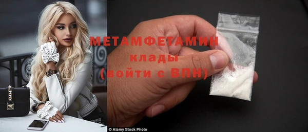 индика Новодвинск