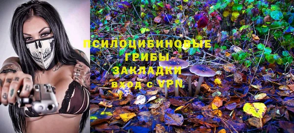 бошки Богданович