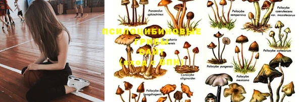 не бодяженный Белоозёрский
