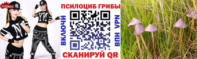 Галлюциногенные грибы Psilocybine cubensis  Константиновск 